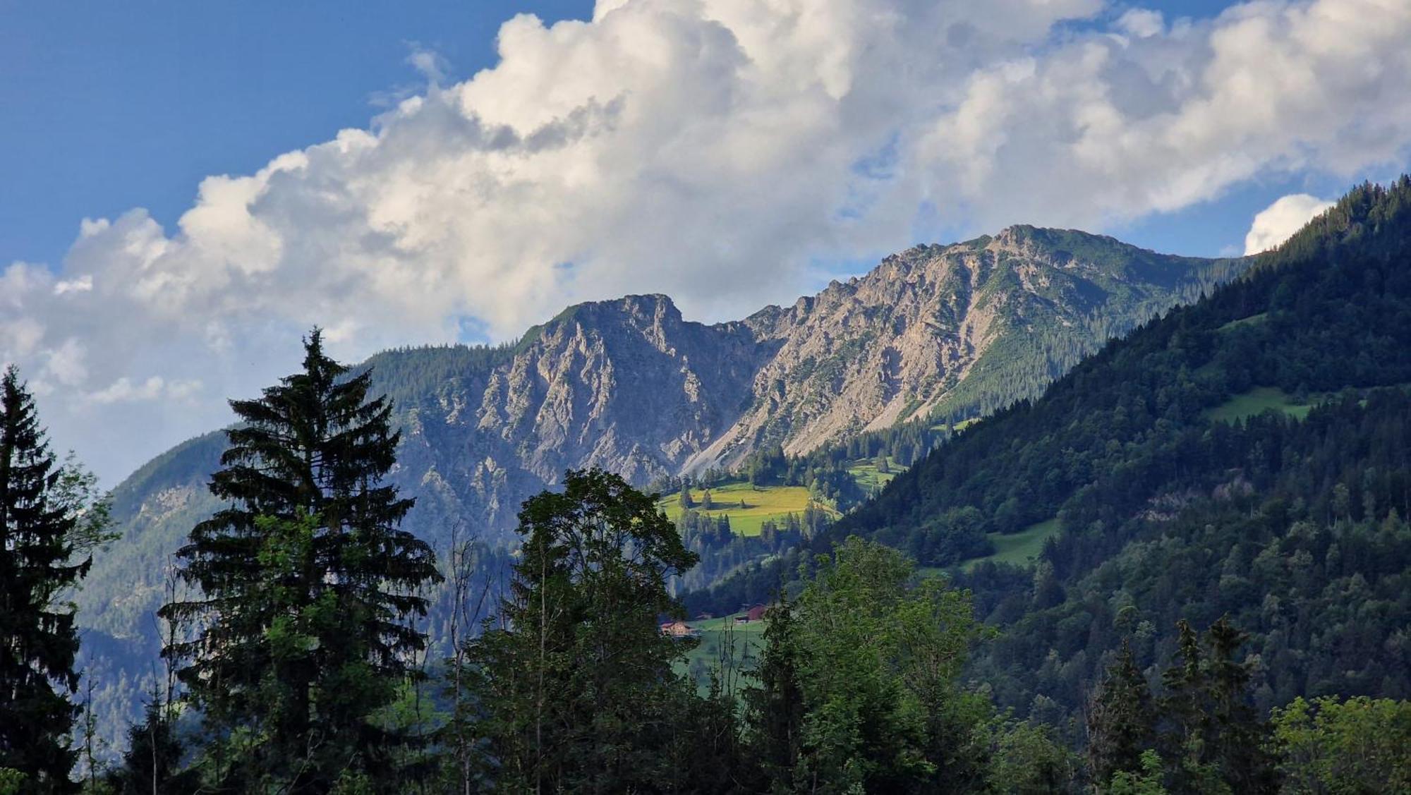 Homy Montavista - 300M Zur Golmerbahn Vandans Extérieur photo